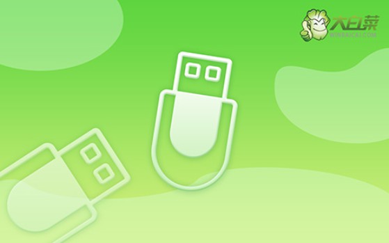 電腦開(kāi)不了機(jī)怎么u盤裝系統(tǒng)-電腦開(kāi)不了機(jī)如何U盤裝系統(tǒng)